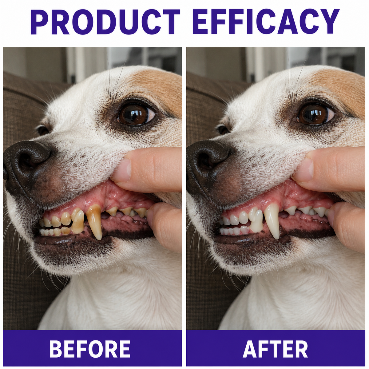 Sploofle Daily Dental Powder for Dogs & Cats