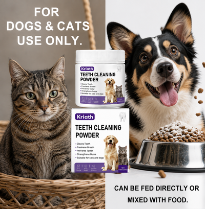 Sploofle Daily Dental Powder for Dogs & Cats