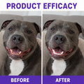 Sploofle Daily Dental Powder for Dogs & Cats